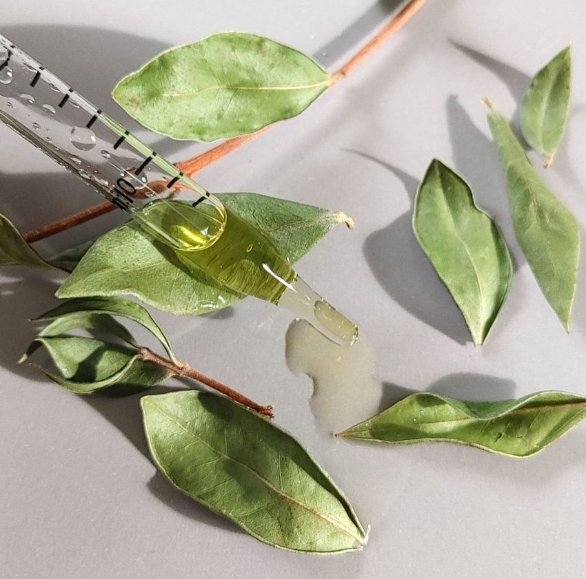 natural-plant-based-face-oil-sunflower-oil-rosehip-seed-oil-non-clogging-face-are