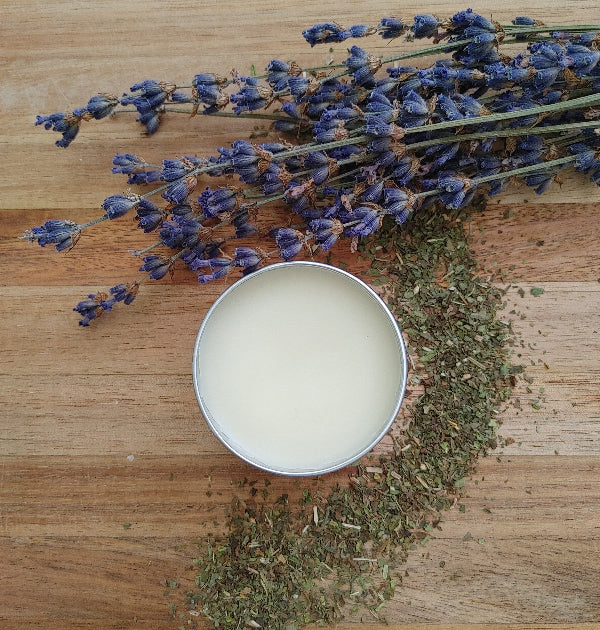 Lavender Peppermint infused Lip Balm in a tin on a wooden surface surrounded by dried botanicals.