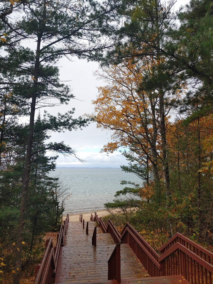 A wooden staircase leading down from a wooded path to a sandy beach at the edge of a calm lake, framed by tall evergreen and autumn-colored trees under an overcast sky.