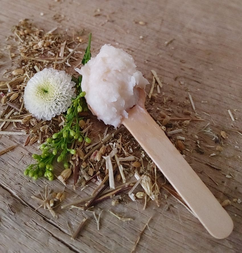 Wooden spoon with white cream on a wooden surface with flowers and herbs