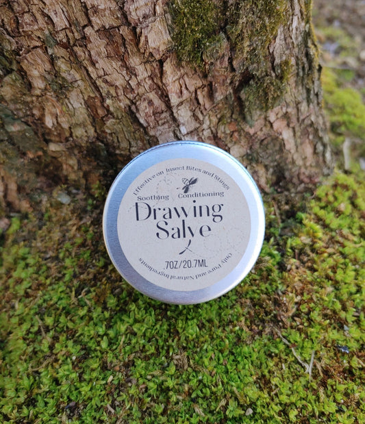 plant based charcoal drawing salve anti itch salve
