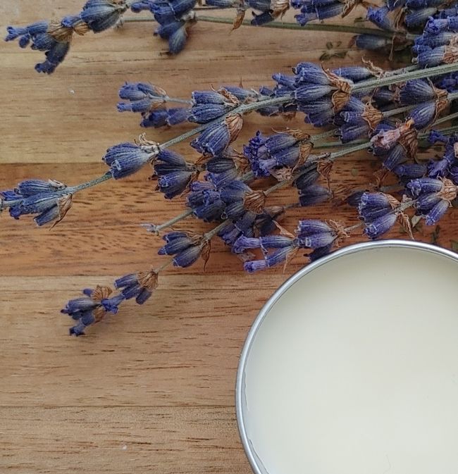 Lavender flowers on a wooden surface with a container of lavender infused lip balm plant based lip care