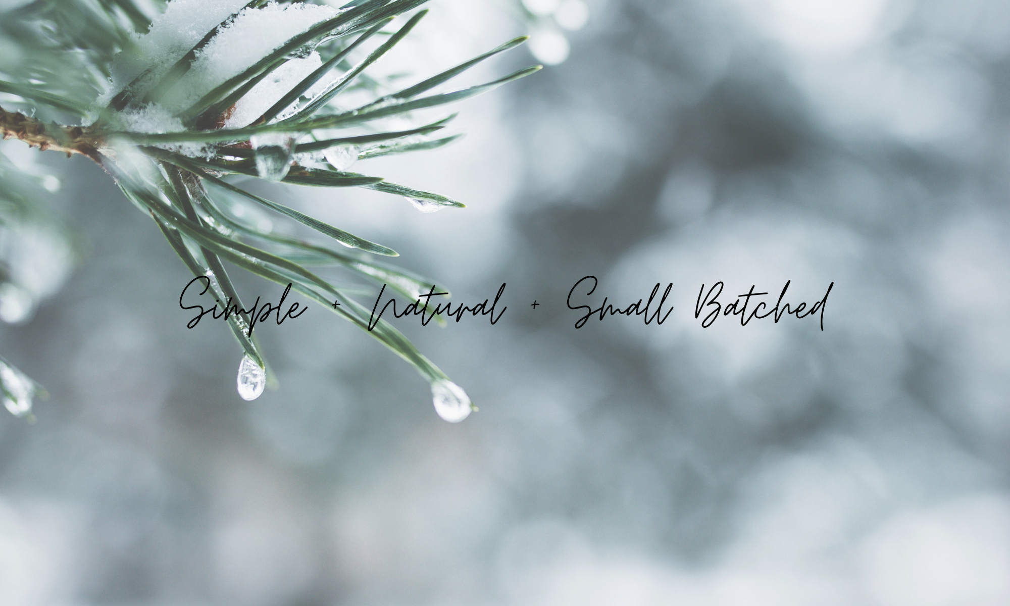 simple small batched plant based products by the wynter rose holiday shopping event banner